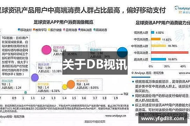 关于DB视讯